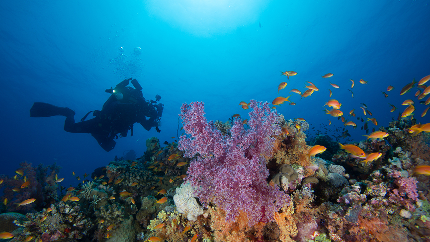 Jeddah: Culture, Coast and a Touch of Adventure